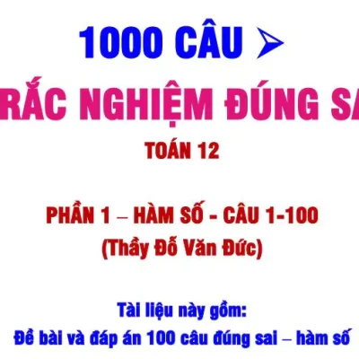 100 câu hỏi trắc nghiệm đúng sai phần Hàm số - Thầy Đức